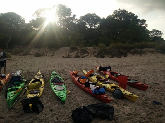 21993111_1733066956705411_7950521479713532907_o